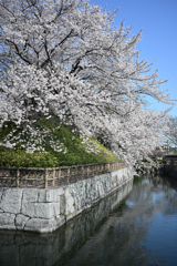 お堀の春