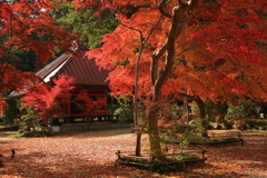 益子円通寺　Ⅲ