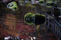 湯の湖散策
