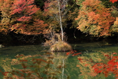 秋の湯ノ湖　８