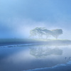 霧覚満淵 2