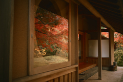 秋色のまど