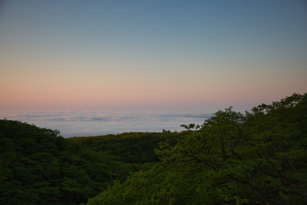 雲海
