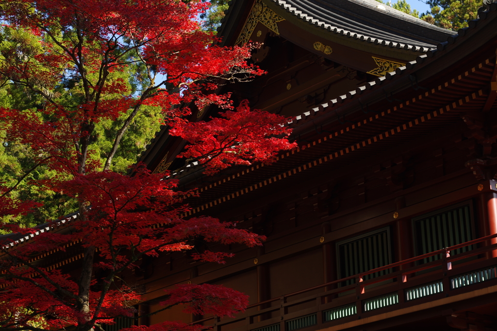 大護摩堂の紅葉