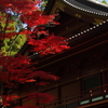 大護摩堂の紅葉