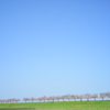 青空と桜