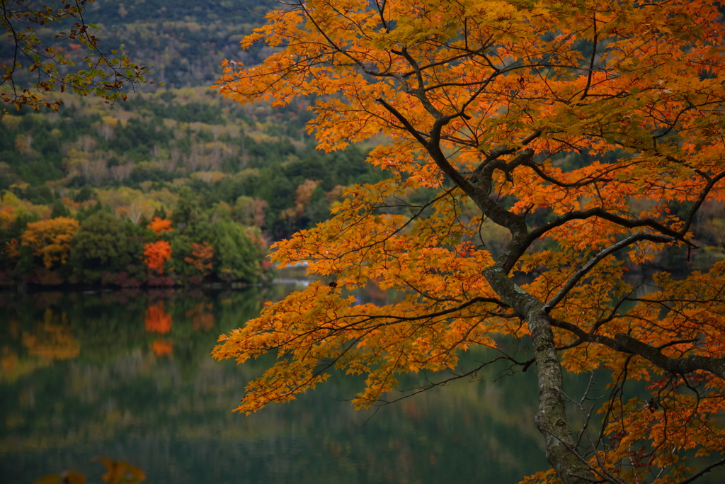 秋の湯ノ湖　７
