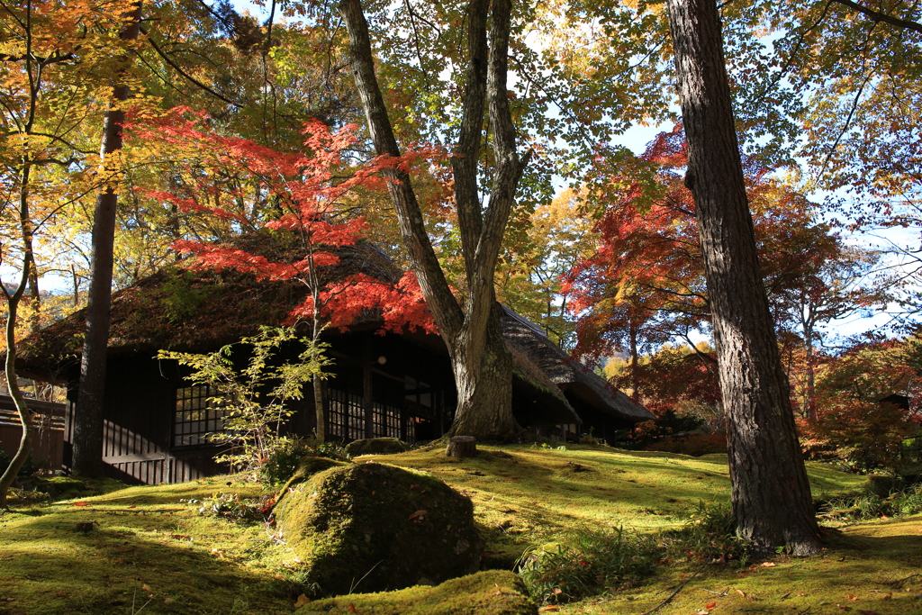 紅葉で感じる秋