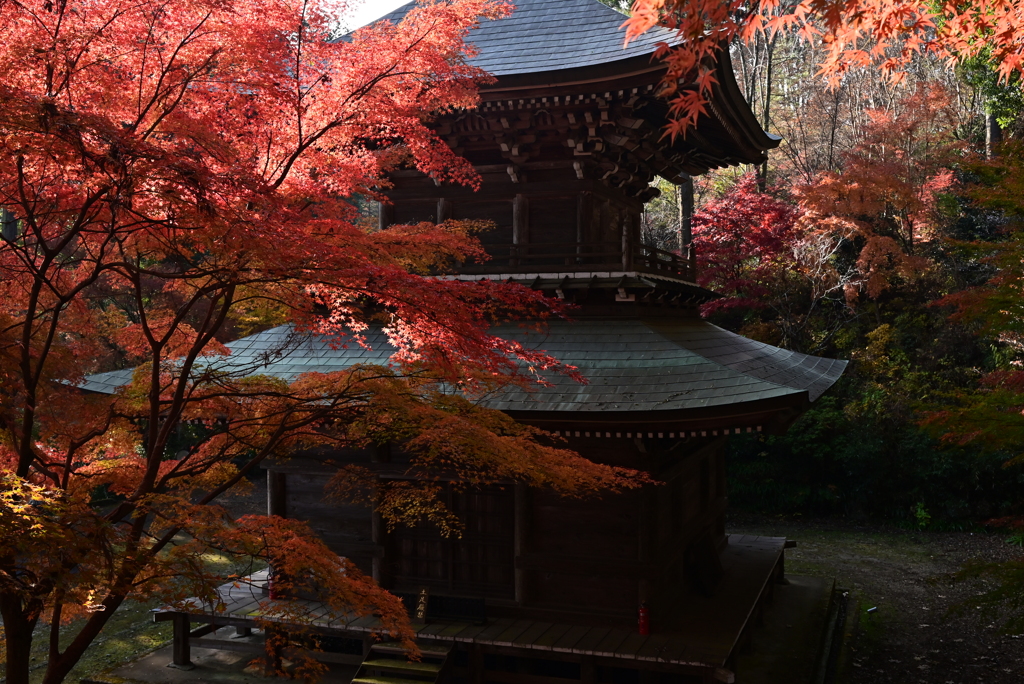 円通寺一切経塔と紅葉　Ⅱ