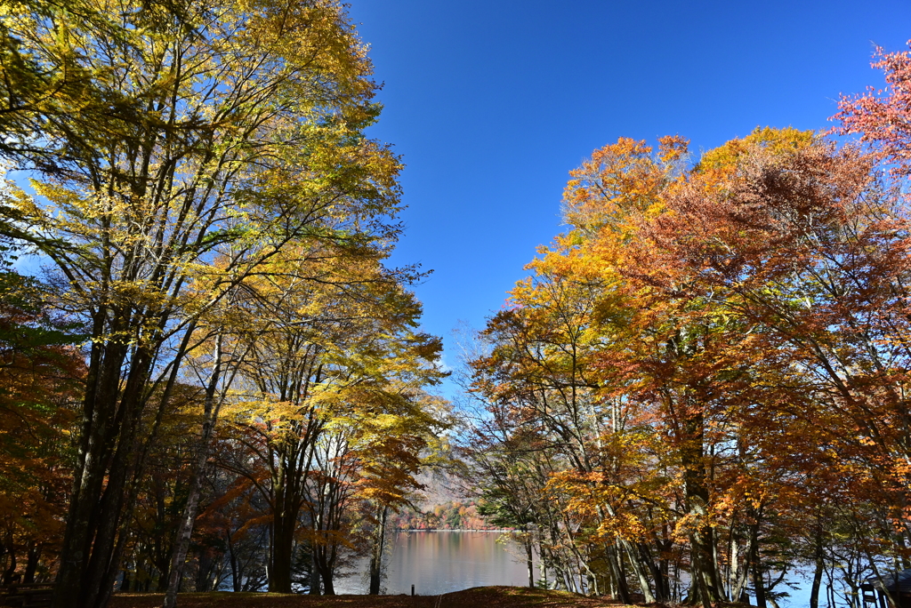 紅葉と中禅寺湖