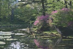 泉門池