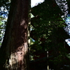 五重塔
