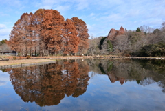 初冬の公園