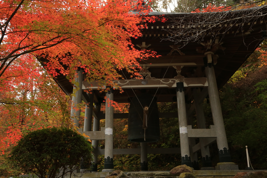 益子円通寺　Ⅳ
