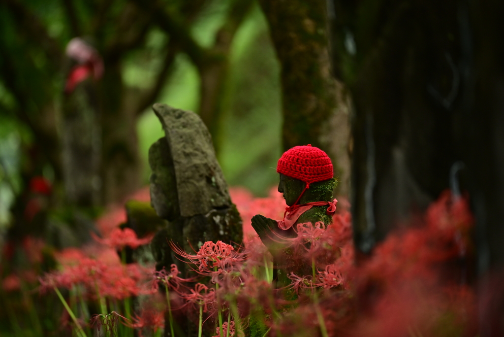 赤と紅