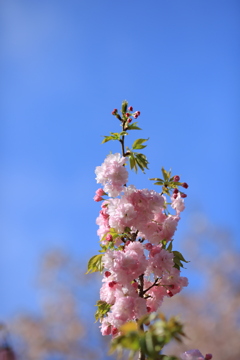 空に向かう