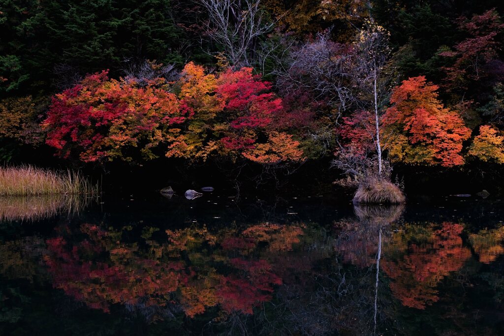 湯ノ湖の彩