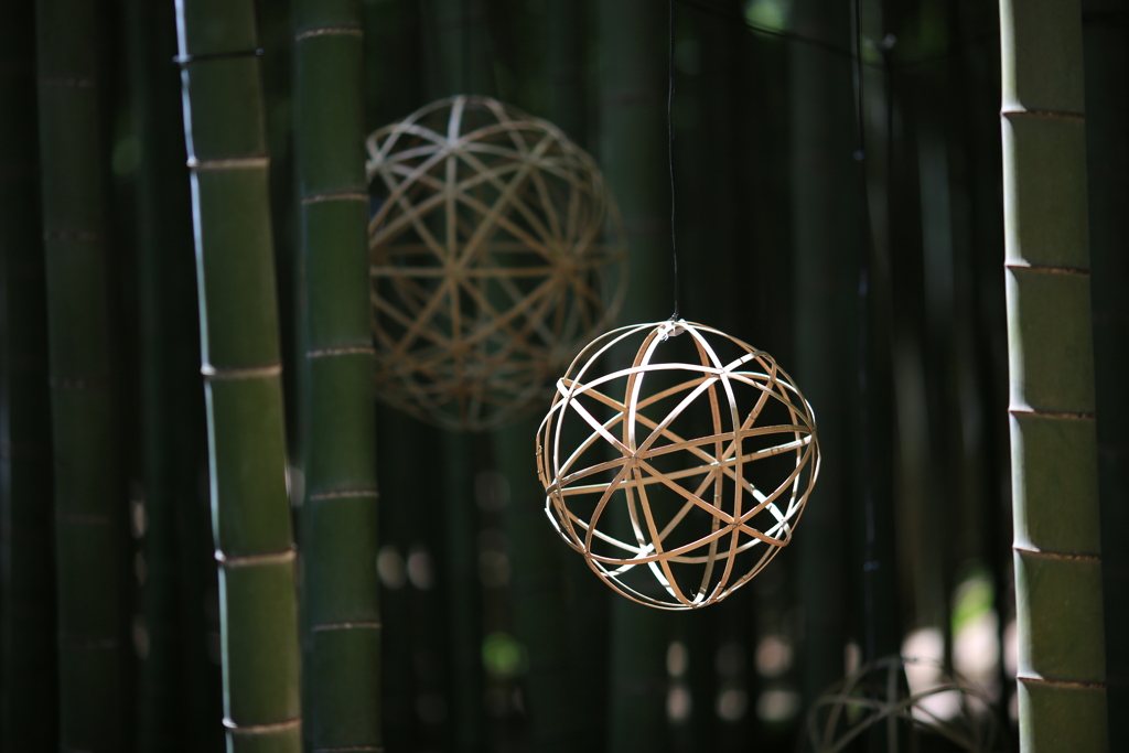 ひかりの杜　ⅲ