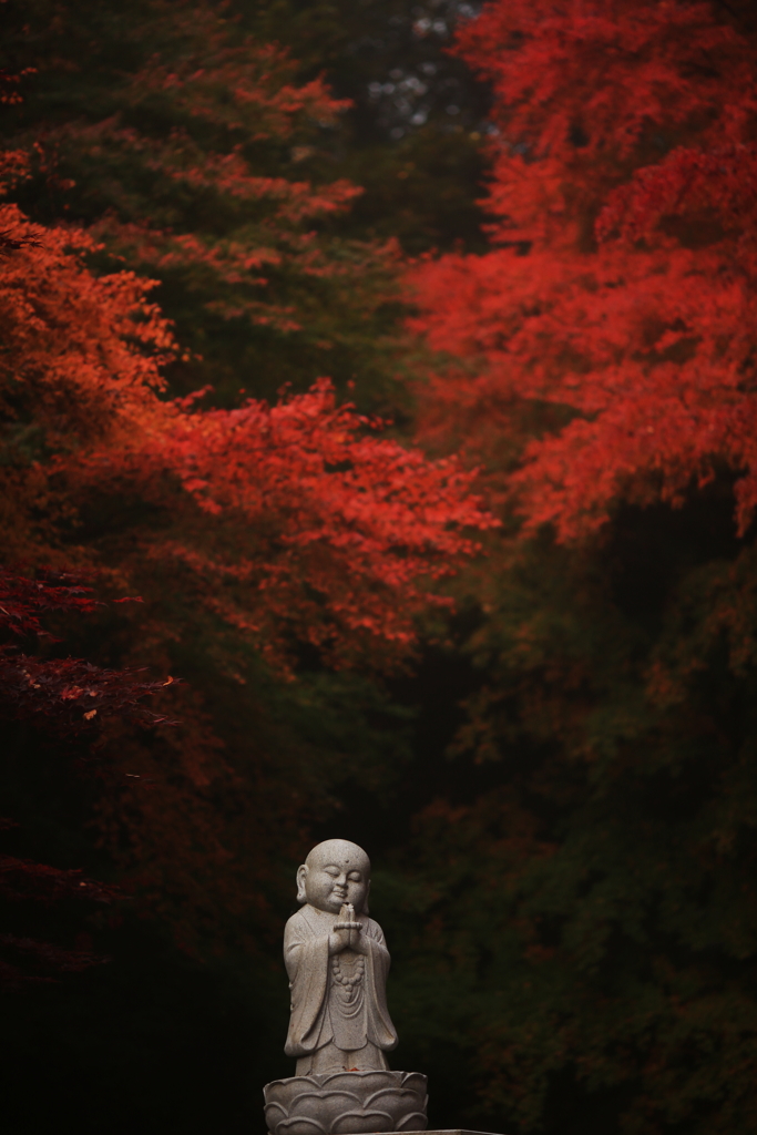 永源寺の紅葉　Ⅰ