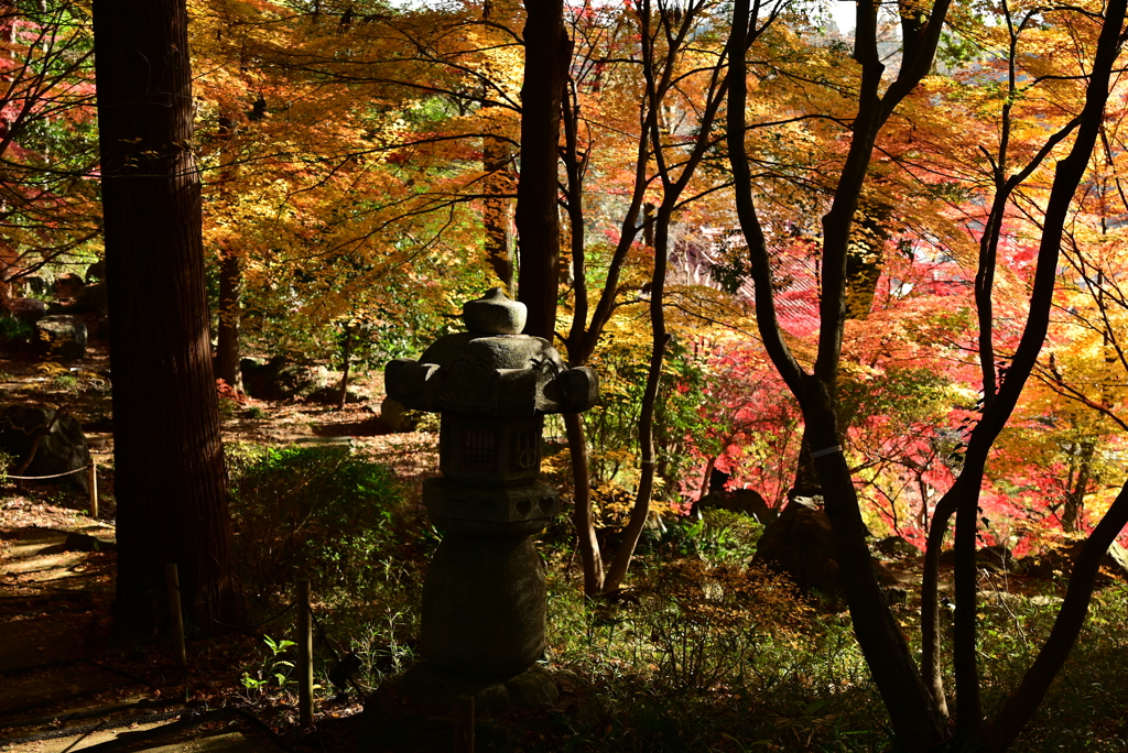 益子円通寺の紅葉　Ⅲ