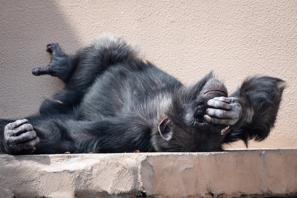 938FCB7C-2A3E-41FD-AB1C-3A35CAB2F259