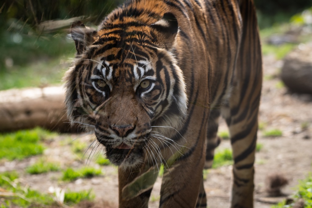 E832B907-7635-45FC-83E4-38CB50F80B9E