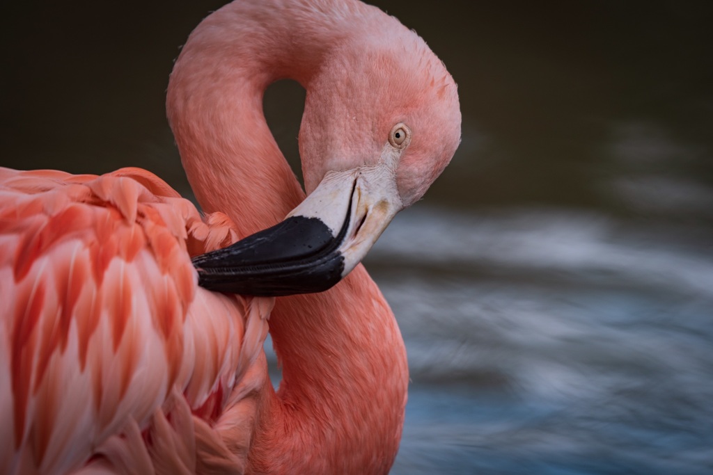 F770F214-EB29-4013-85A8-D4A795AFF6A3