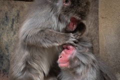 71771C88-98CD-47FB-9BFA-91591F5955C2