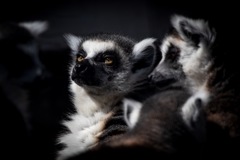 C0B6DA76-B892-43EB-B637-844D66995D5D