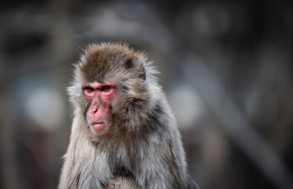 31232A0B-1FFC-4513-B49E-5C7E400E867C