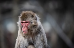 31232A0B-1FFC-4513-B49E-5C7E400E867C