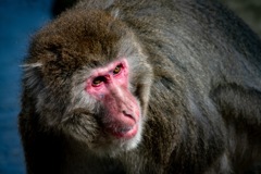 8B16BAA9-5074-4601-82E0-6D582B3E25DA