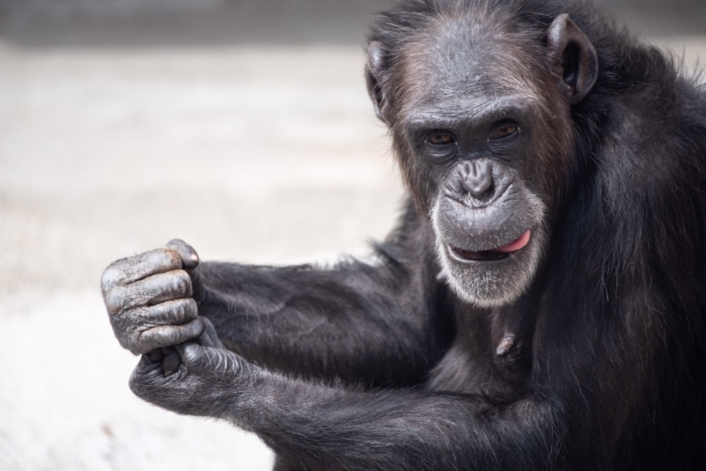 8EED0138-851B-4E50-948A-958AAB9C7F62