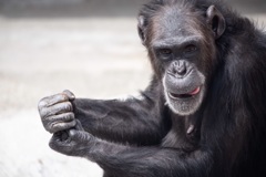 8EED0138-851B-4E50-948A-958AAB9C7F62