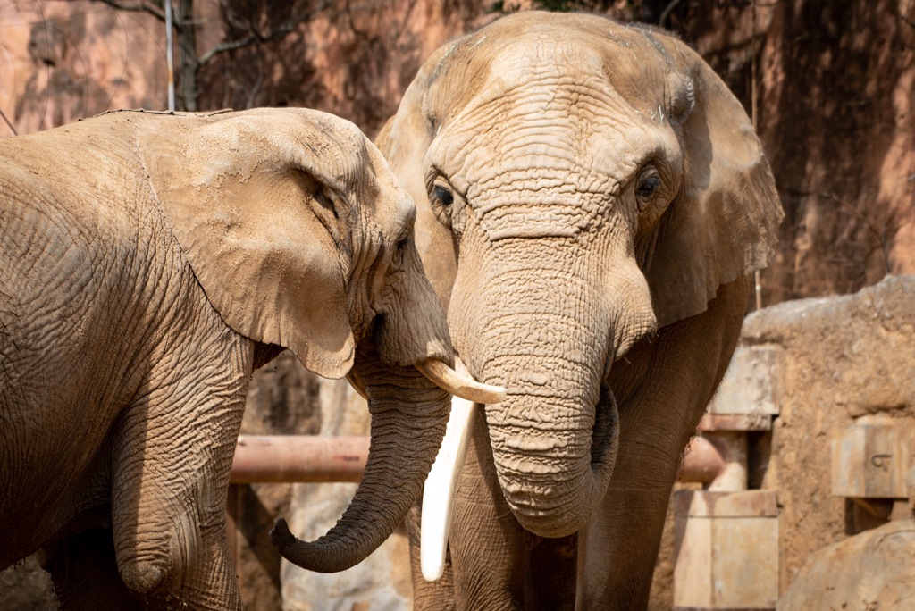 5FDDC256-0406-4CB6-B611-B0BF27B3F578