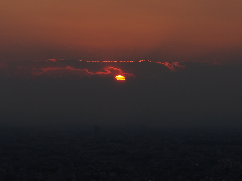 都庁の夕日