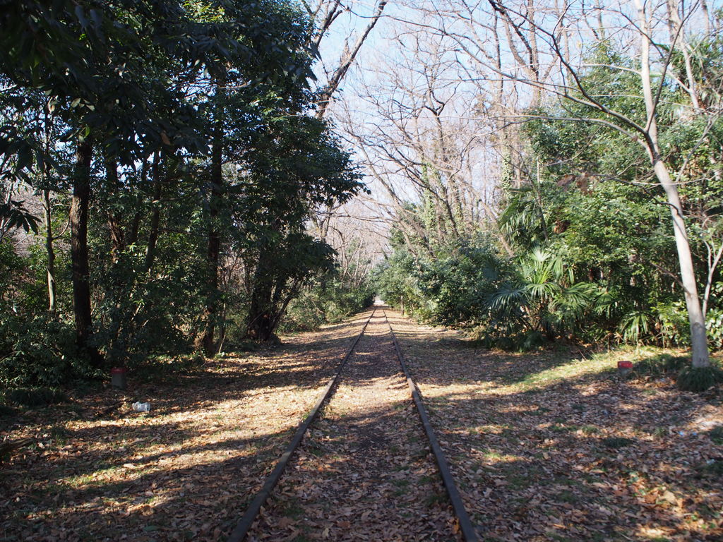 線路の森