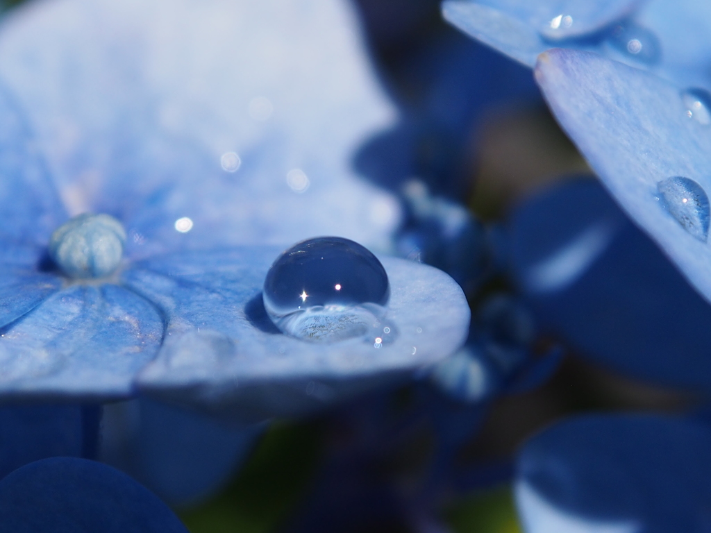 雨上がり