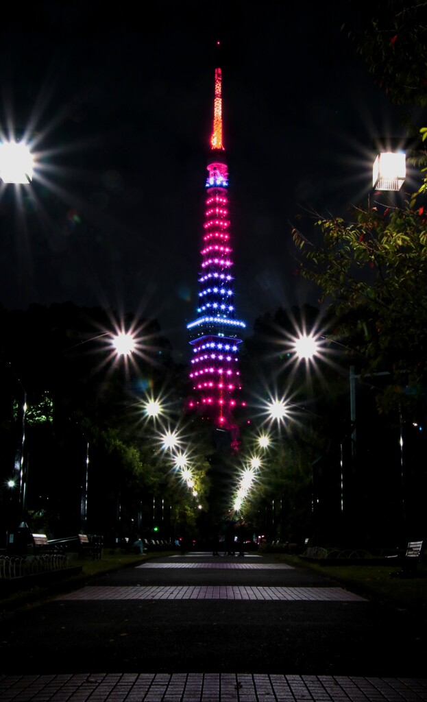 東京タワー　インフィニティ・ダイヤモンドヴェール