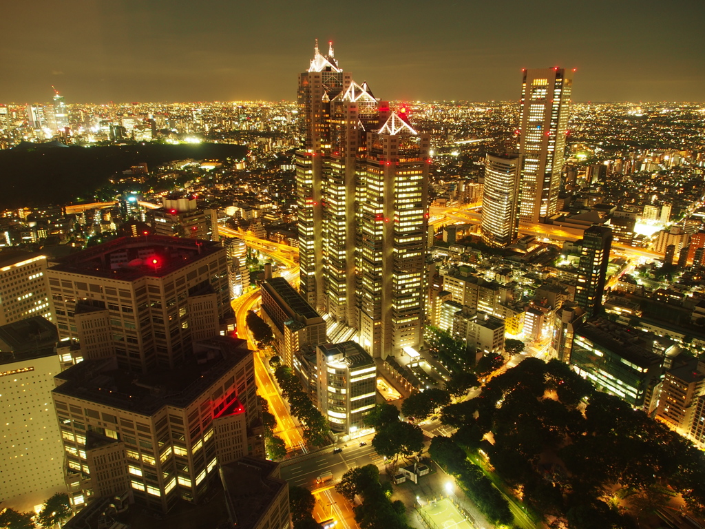 都庁の夜景