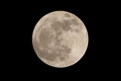 今年最後の満月