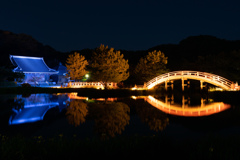 LIGHT-UP 2