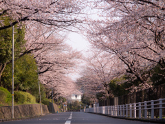 通学路