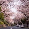 通学路