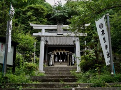 緑の神社