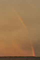 20140908_175314 夕暮れ時、東の空に虹