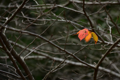 20201202_115608