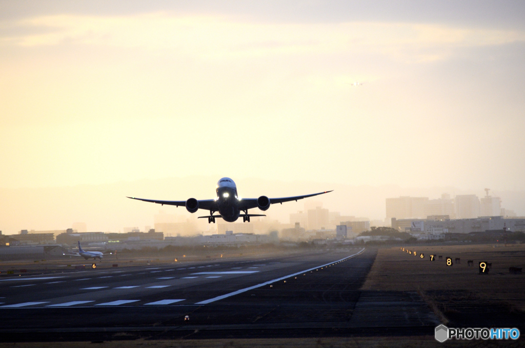朝の空港