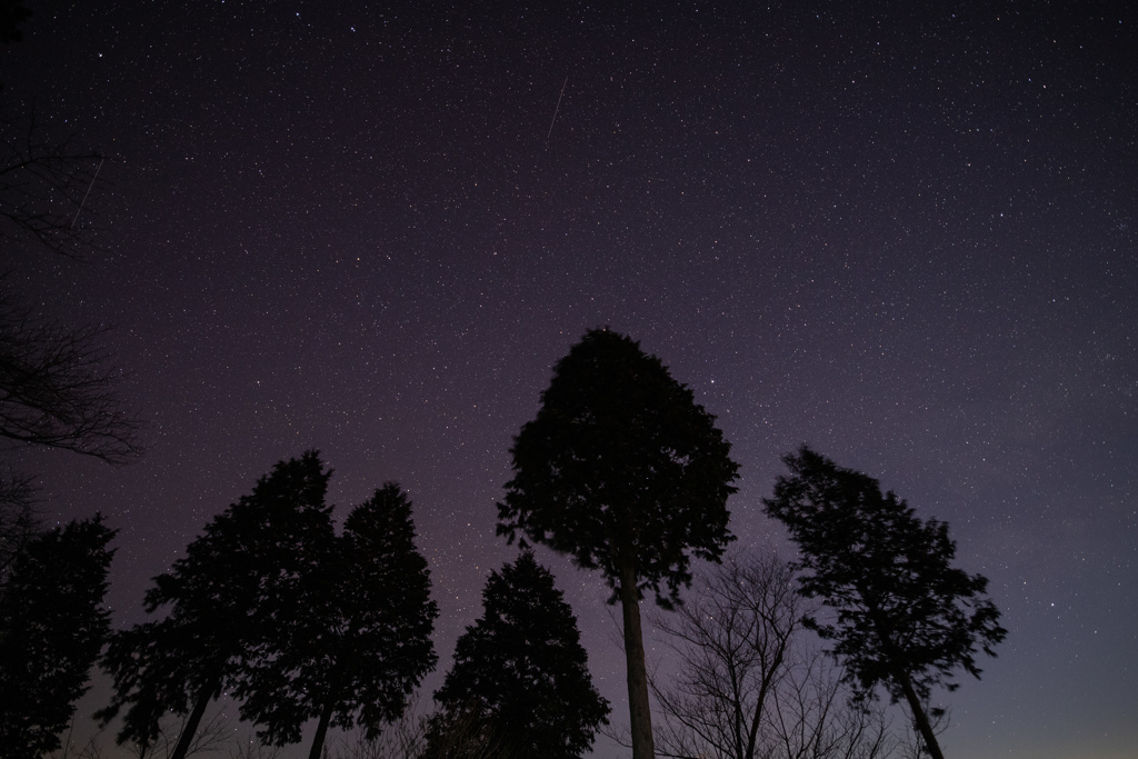 山の星空