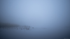 fog